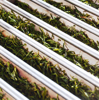 Coonoor Black Frost Loose Leaf Tea, 5 of 8