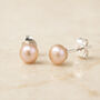 Sterling Silver Pink Freshwater Pearl Stud Earrings, thumbnail 3 of 7