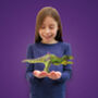 Build Your Own Personalised Tyrannosaurus Rex, thumbnail 7 of 12