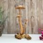 Wooden Mushroom Statue Teak Root Toadstool Nature Gift, thumbnail 6 of 10