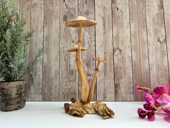 Wooden Mushroom Statue Teak Root Toadstool Nature Gift, 6 of 10