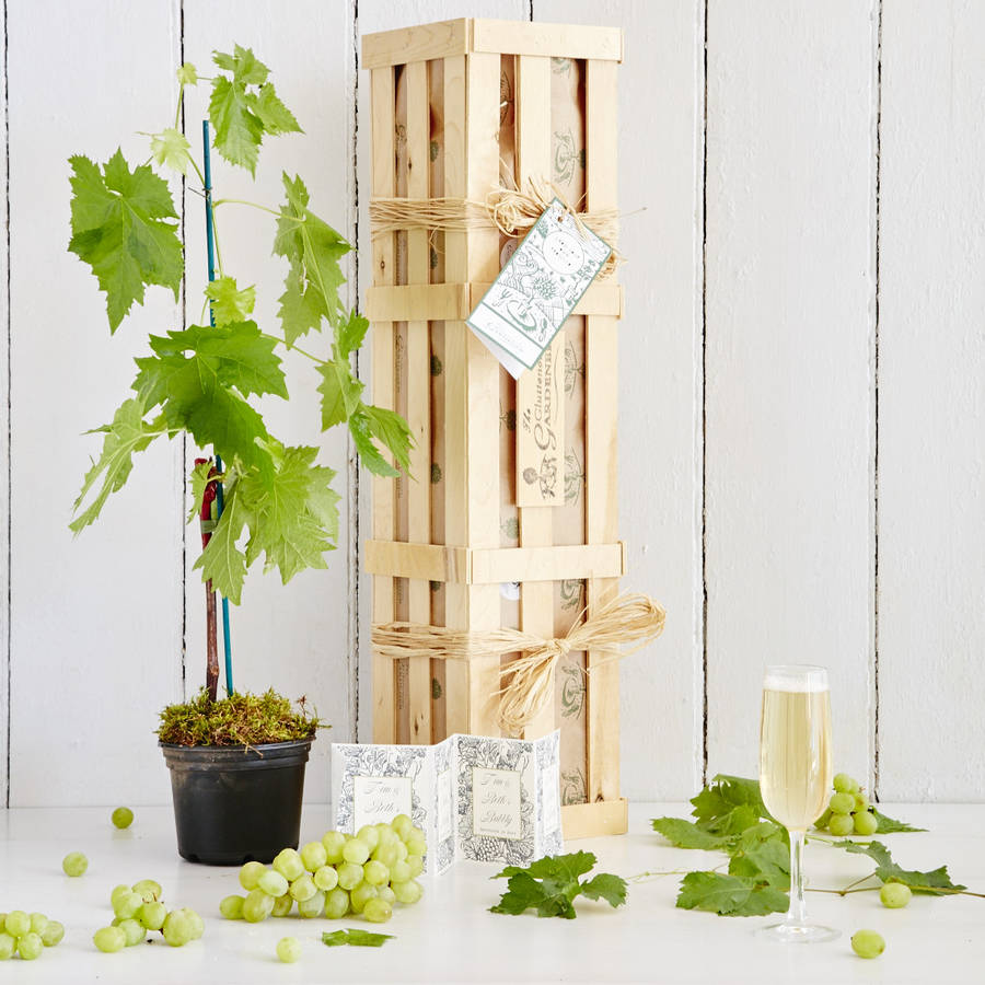 Grow Your Own Prosecco Style Sparkling Wine Gift Crate, 1 of 9