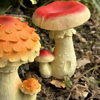 Set Of Four Mushroom Garden Ornaments, 2 of 5