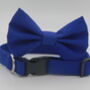 Bright Blue Dog Bow Tie, thumbnail 6 of 7