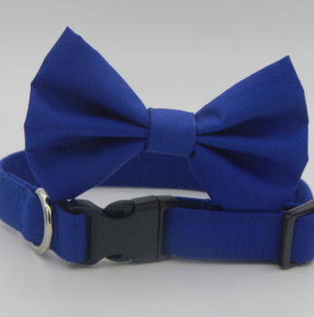 Bright Blue Dog Bow Tie, 6 of 7