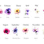 Mother's Day Personalised Watercolour Birth Flowers Print, thumbnail 3 of 3