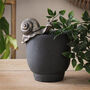 Gold Snail Pot Hanger, thumbnail 1 of 2