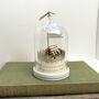 Personalised Glass Dome Camping Scene With Poetry Tent And Silhouette Couple, thumbnail 3 of 10