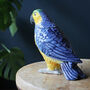 Blue And Yellow Parrot Storage Jar, Ceramic Pot, thumbnail 4 of 6