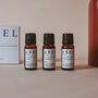 Set Of Three France Inspired Diffuser Fragrance Oils, thumbnail 1 of 4