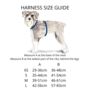 Blue Waves Dog Harness, thumbnail 3 of 3