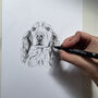 Personalised Pet Portrait Drawing, thumbnail 2 of 11