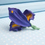 Hand Painted Iris Brooch In A Choice Of Two Colours, thumbnail 1 of 3