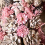 Sparkling Frosts Pinecone Indoor Wreath, thumbnail 4 of 6