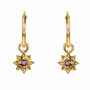 Guiding North Star Rhodolite Mini Hoops Gold Plated, thumbnail 2 of 8
