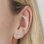 Feather Stud Earrings In Silver Or Gold Vermeil, thumbnail 2 of 4