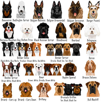 Premium Dog Breed Realistic Illustrations Heart ID Tag, 3 of 10