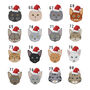 Personalised Cat Breed Tree Topper, thumbnail 7 of 9