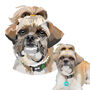 Bespoke Dog Portrait Illustrated T Shirt, thumbnail 2 of 7