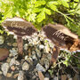 Pesonalised Engraved Rose Gold Mirror Plant Markers, thumbnail 2 of 3