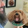 Personalised Crocheted 'Best Dog Dad' Wall Hanging, thumbnail 1 of 4