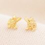 Sterling Silver Turtle Stud Earrings In Gold, thumbnail 1 of 3