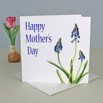 ' Grape Hyacinth ' Mothers Day Card, 2 of 2