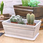 Personalised Wooden Pot Planter, thumbnail 7 of 12