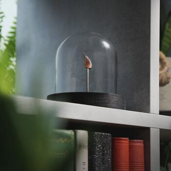 Velociraptor Tooth Bell Jar, 9 of 9