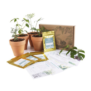 Monthly Tropical Houseplant Seed Subscription Box, 5 of 12