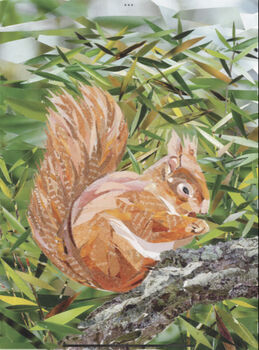 Red Squirrel, Tresco, Isles Of Scilly Collage Art Print, 3 of 5