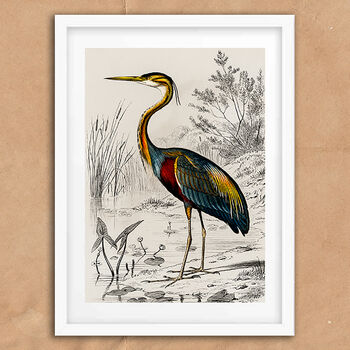 Vintage Crane Heron Illustration Art Print, 6 of 7
