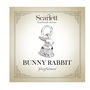 Bunny Rabbit Silver Charm, thumbnail 10 of 10