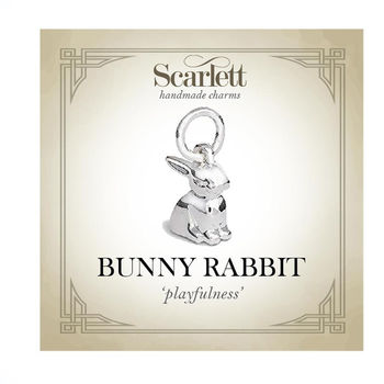 Bunny Rabbit Silver Charm, 10 of 10