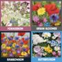 Great British Bloomers Seedbom Gift Box, thumbnail 3 of 7