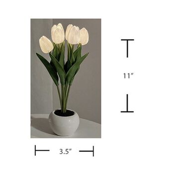 Tulip Light, 6 of 7