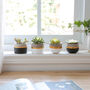 Set Of Four Mini Modern Plant Pots Indoor Planter, thumbnail 1 of 5