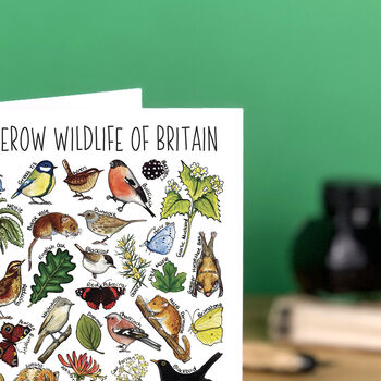 Hedgerow Wildlife Of Britain Greeting Card, 8 of 8