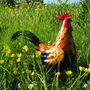Garden Rooster, thumbnail 1 of 7