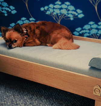 Wooden Dog Bed Solid Oak, 5 of 12