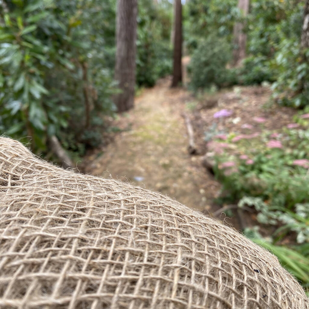 Compostable Leaf Sacks Pack Of 10 By Garden Selections