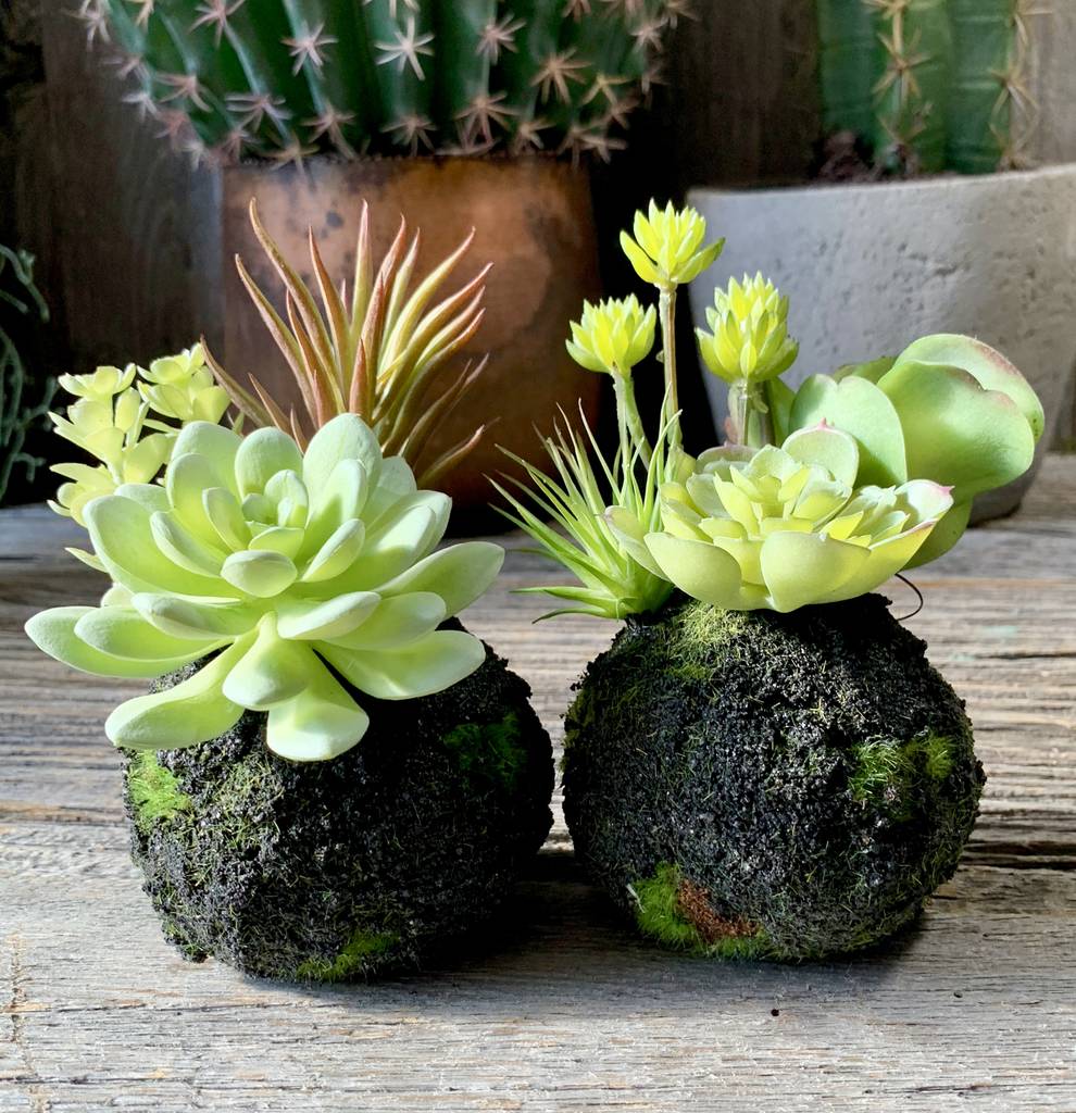 Faux Succulent Plant By London Garden Trading