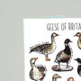 Geese Of Britain Greeting Card, thumbnail 4 of 7