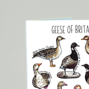 Geese Of Britain Greeting Card, 4 of 7