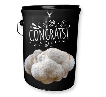 Congrats Lion's Mane Mushroom Grow Kit, 4 of 4