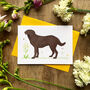 Charlie The Chocolate Labrador Blank Greeting Card, thumbnail 1 of 10