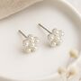 Sterling Silver Pearl Daisy Flower Stud Earrings – 7mm, thumbnail 1 of 11