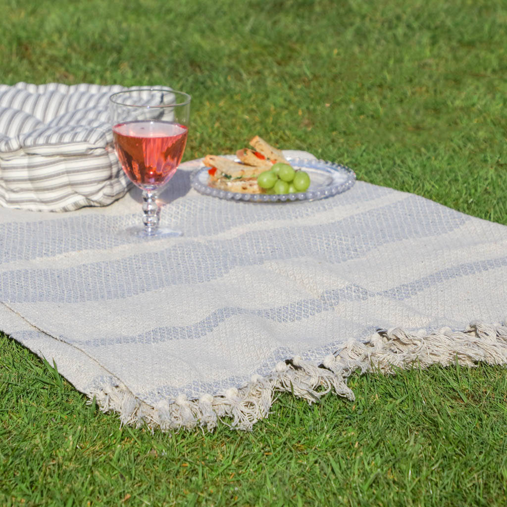 picnic blanket party