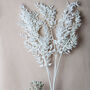 Natural Bleached White Leaf Ruscus Long Stems, thumbnail 2 of 4