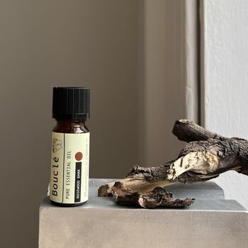 Pure Essential Oils Single Oils For Aromatherapy And Home Fragrance, 9 of 12